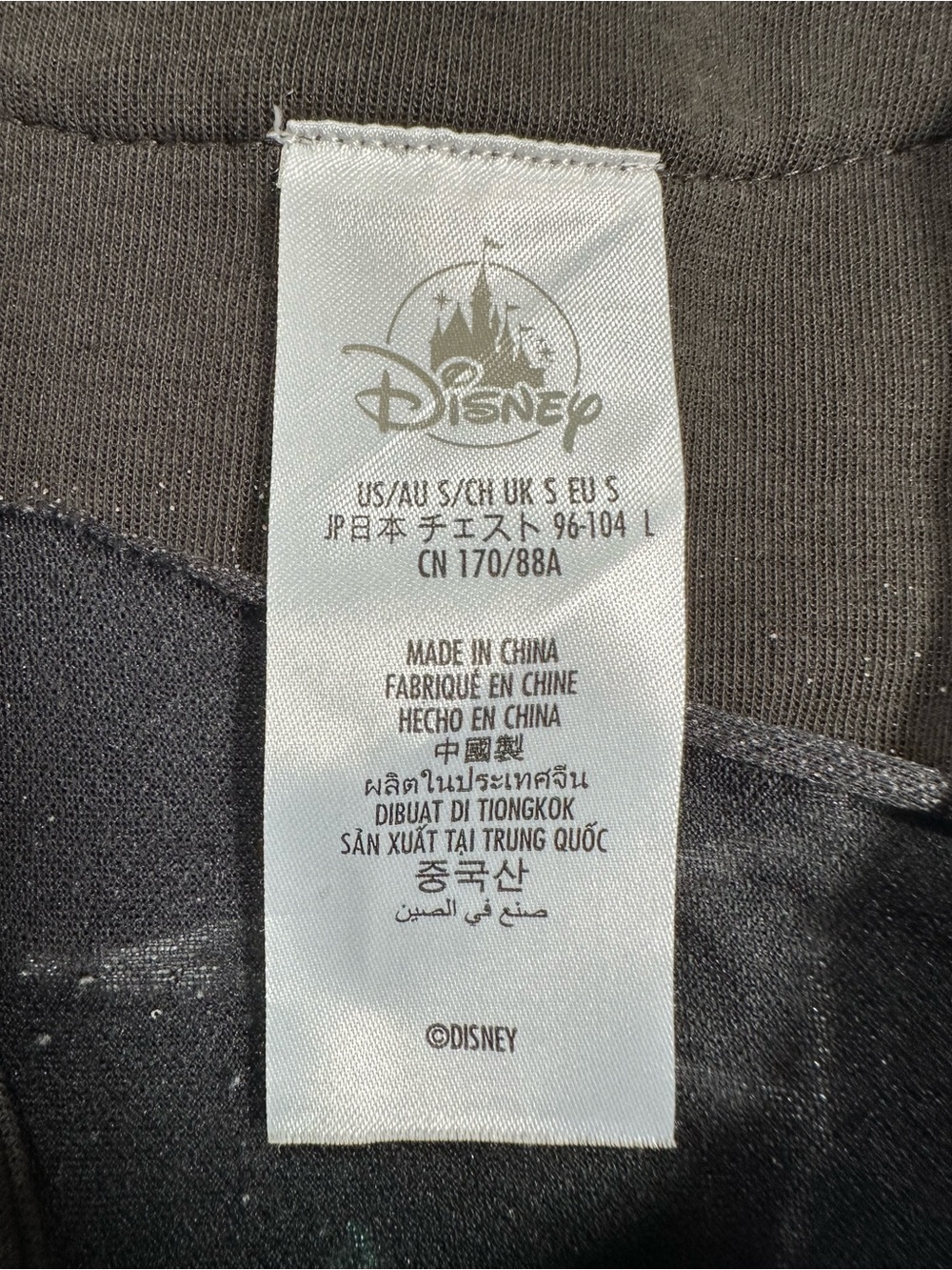 Disneyland Resorts • Unisex Pride Snap Front Embroidery Jersey - Picture 10 of 15